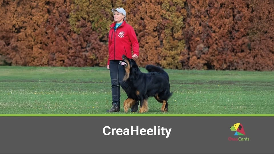 CreaHeelity-Fußarbeit, A-8700 Leoben