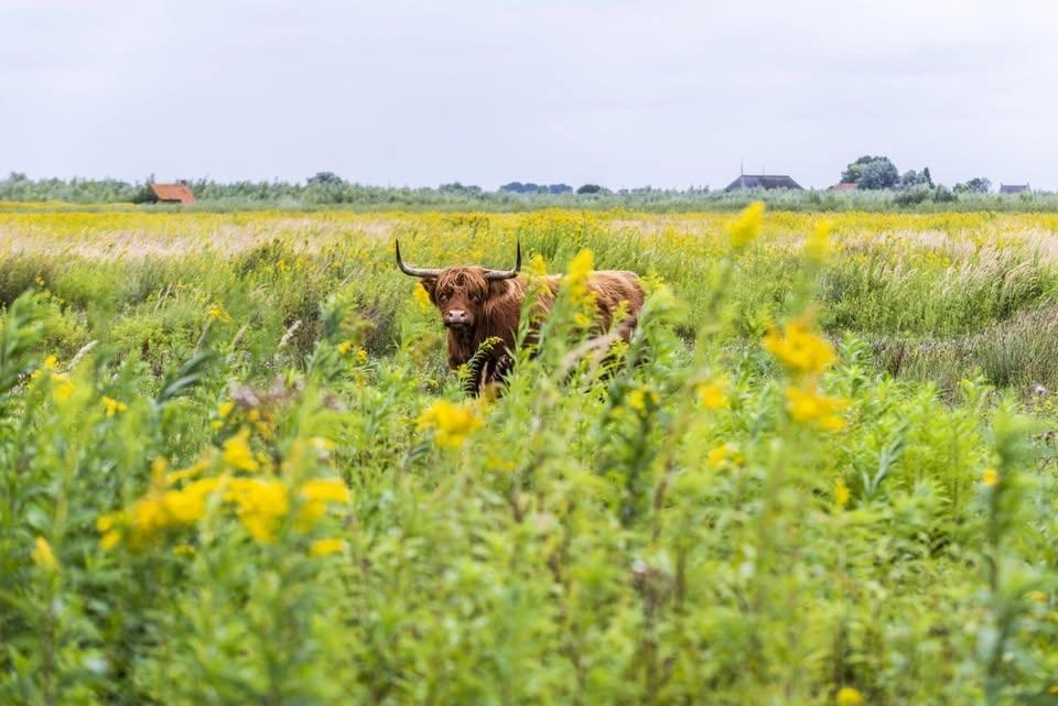 Dagtocht Eiland Tiengemeten