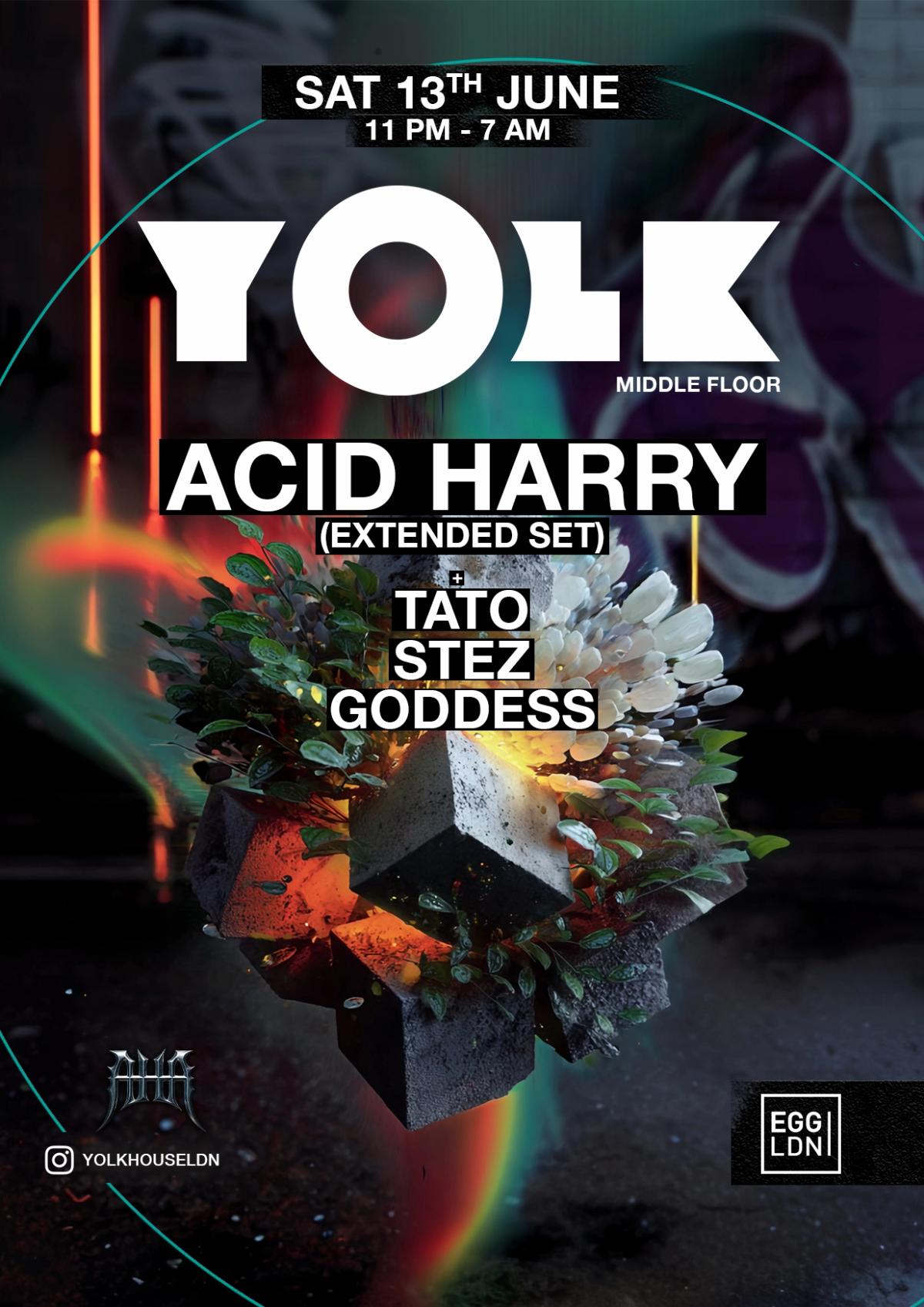 YOLK: *special* ACID HARRY (House + Tech-House) at EGG LDN