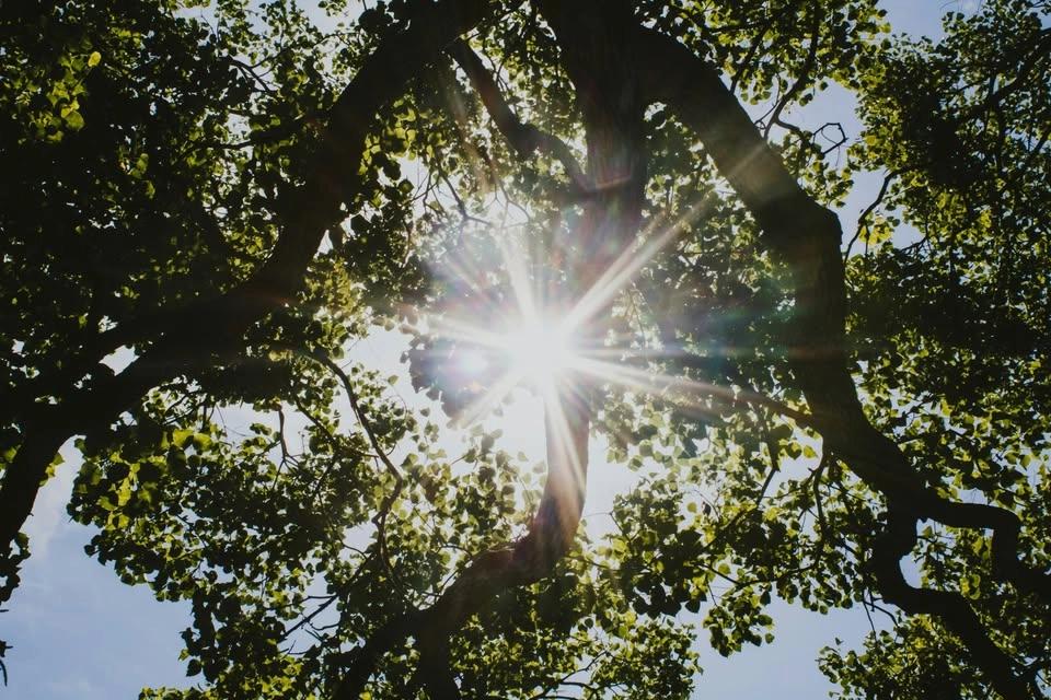 HathaYoga sommar (Drop in)