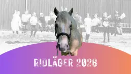 Ridläger
