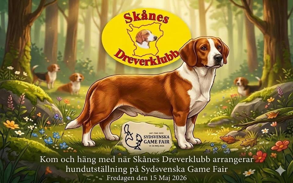 Hundutställning med Skånes Dreverklubb (Sydsvenska Game Fair)