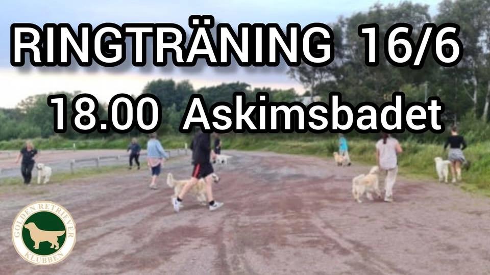 RINGTRÄNING/UTSTÄLLNINGSTRÄNING