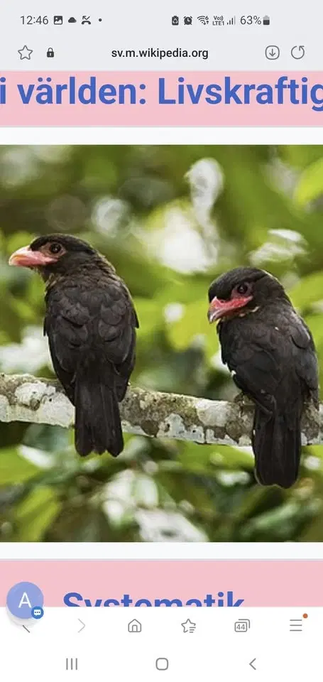 Öppen dörr med Patrik. Ingen anmälan