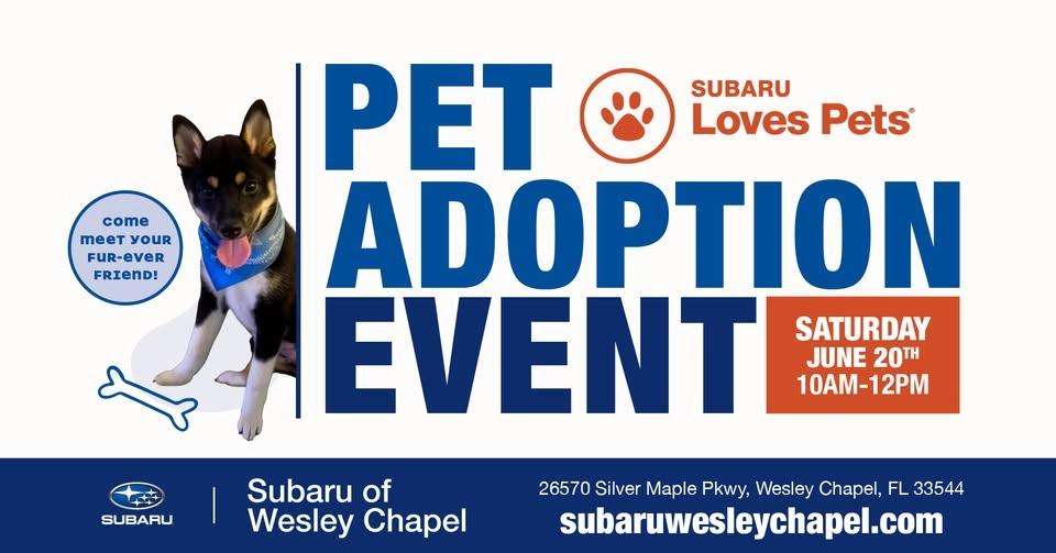 Subaru of Wesley Chapel | Pet Adoption Event