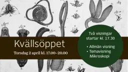 Torsdagkväll på Medicinhistoriska