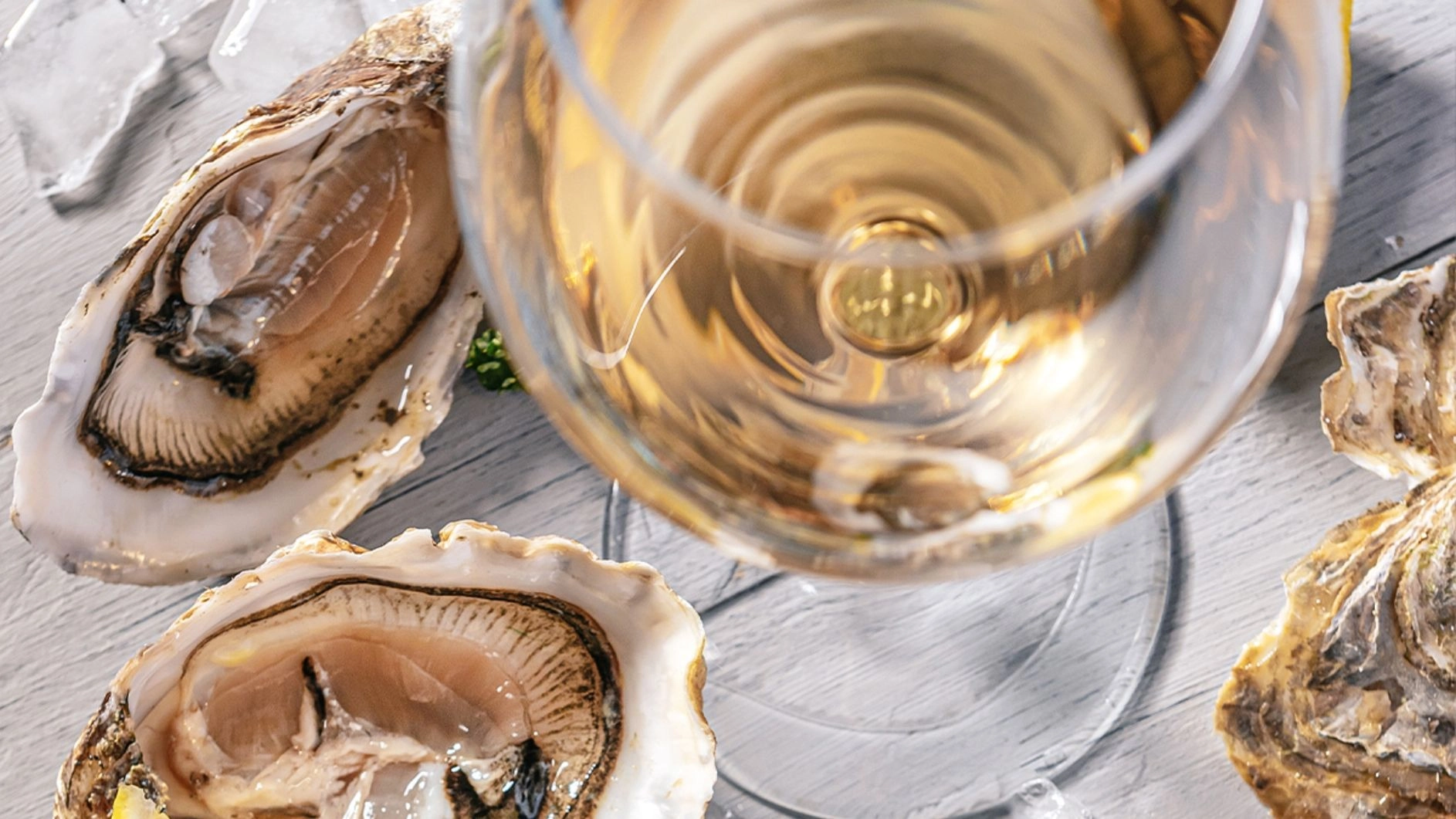 Fisk- & Skaldjursfestivalen - Provningar