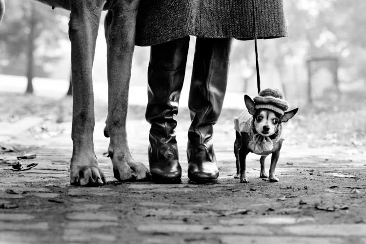 FIELD TRIP! Fotografiska Stockholm!