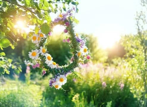 Midsommar Fyrby koloniförening