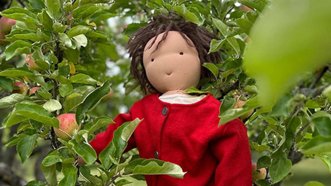 Andrejs äppelträd