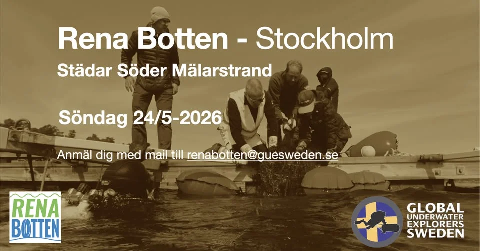 Rena Botten städar på Söder Mälarstrand
