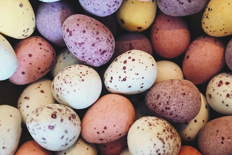 Äggjakt på biblioteket