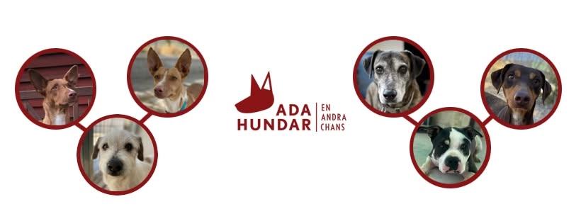 ADA-träff 2026