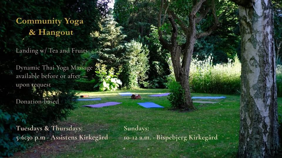 Community Yoga (Donation-Based), Hangout (with provided drinks & snacks) & Optional Thai Massage