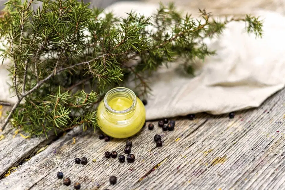 Tillverka egna örtoljor, läppcerat och läkesalvor