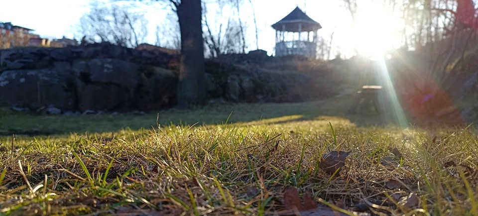 Invigning av 2 permanenta konstverk i Slipvillans trädgård