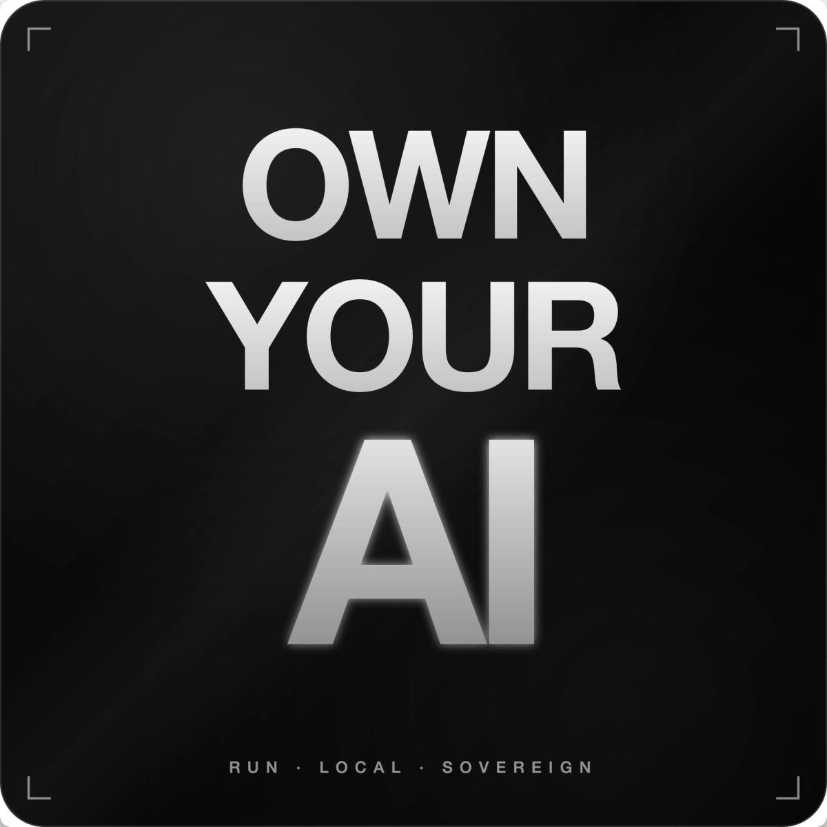 Own Your AI - Hardware, Models, Tuning: How to Actually Make Local LLMs Productive