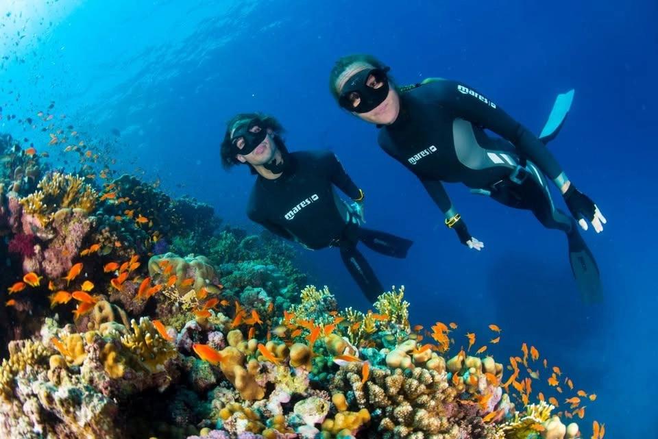Begginer Freediving Course