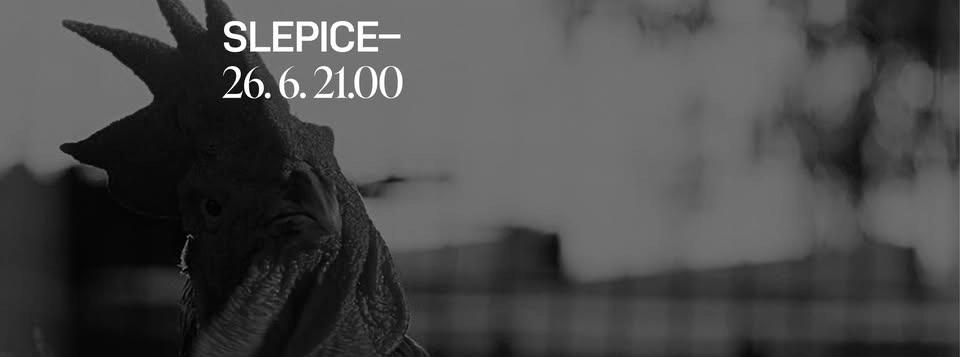 Letní kino – Slepice (2025)