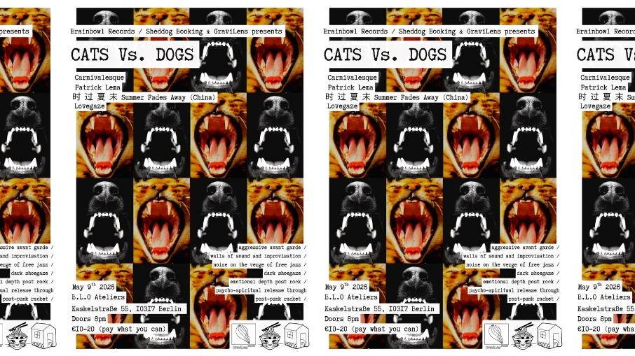 Cats vs. DOGS