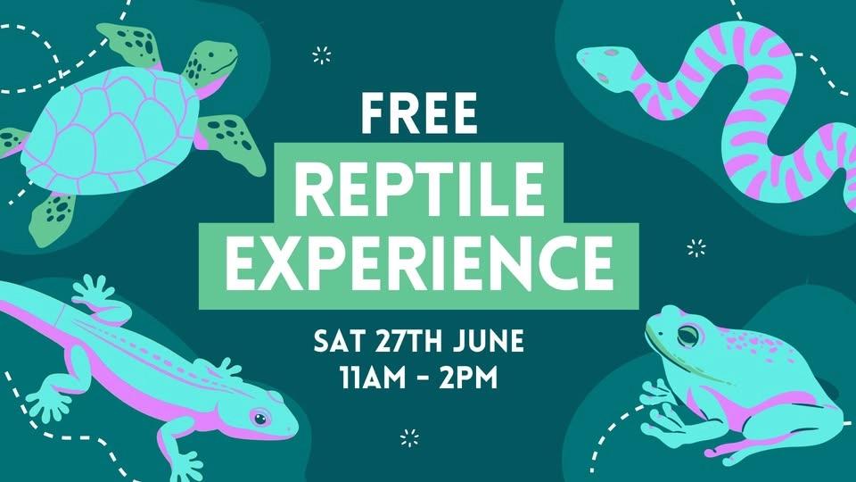 Free Reptile Experience at St Helena Marketplace