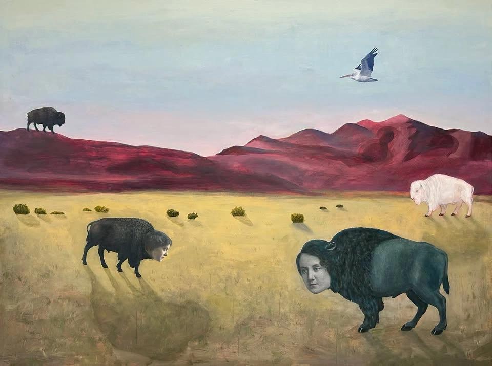 Suzanne Sbarge: Anomalies