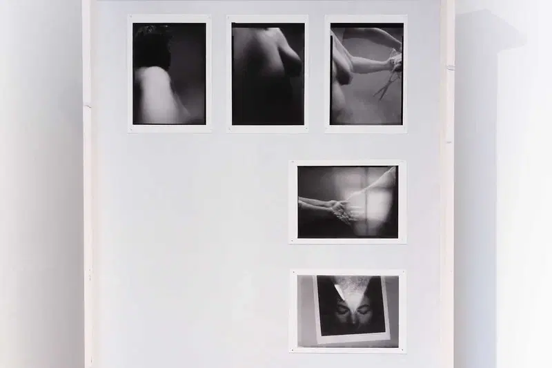 Vrstvenie času: Kreativita, rod a pokročilý vek v širších súvislostiach