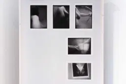 Vrstvenie času: Kreativita, rod a pokročilý vek v širších súvislostiach