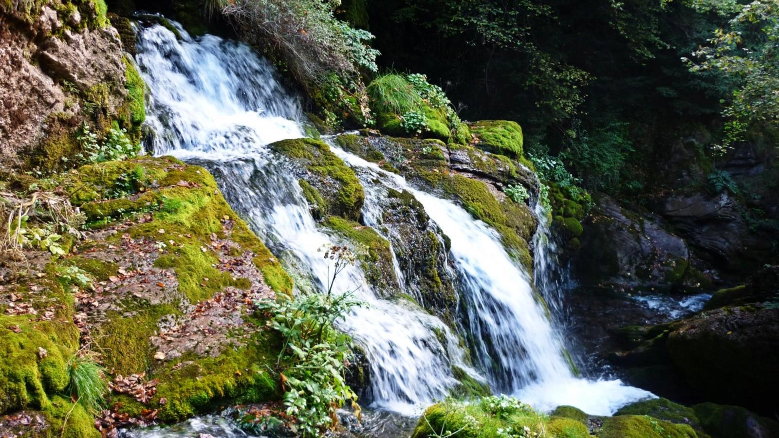 🍃Castellar de n'Hug, Fonts del Llobregat 💦... i muntanyes espectaculars! 🏔️