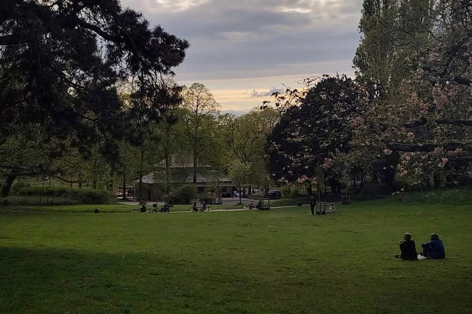 Brussels by Night: Parc de Forest