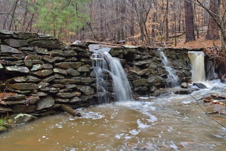 District Hike #211 - Umstead