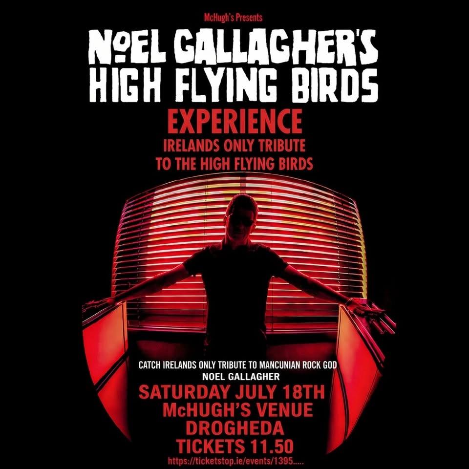 Noel Gallaghers High Flying Birds Experience