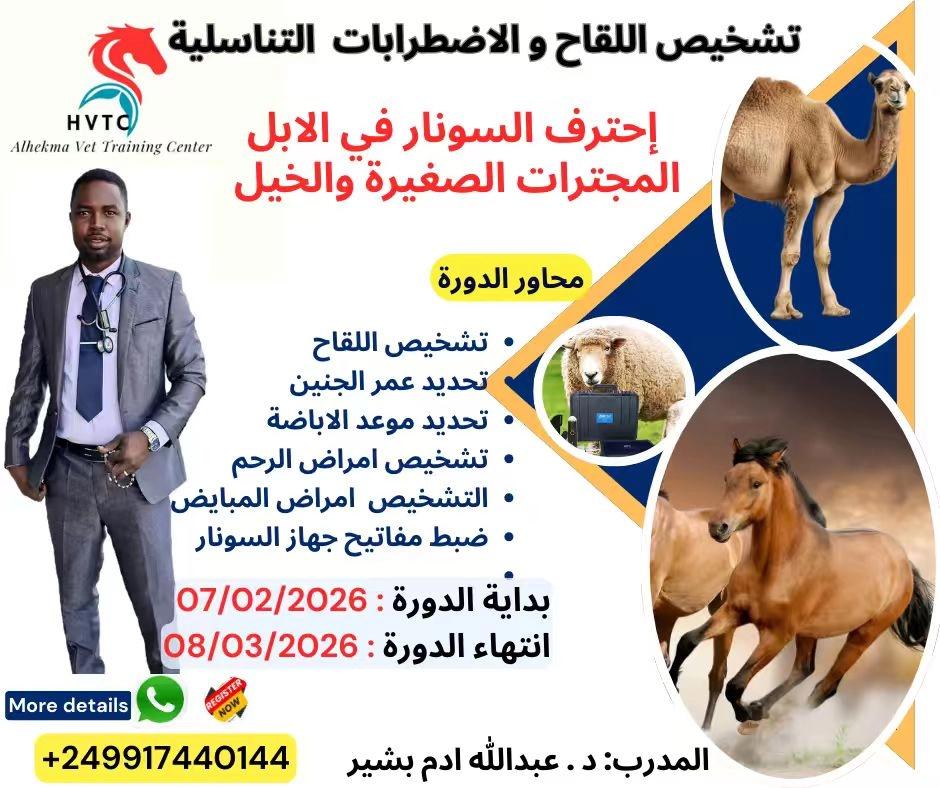 Ultrasound Training Course