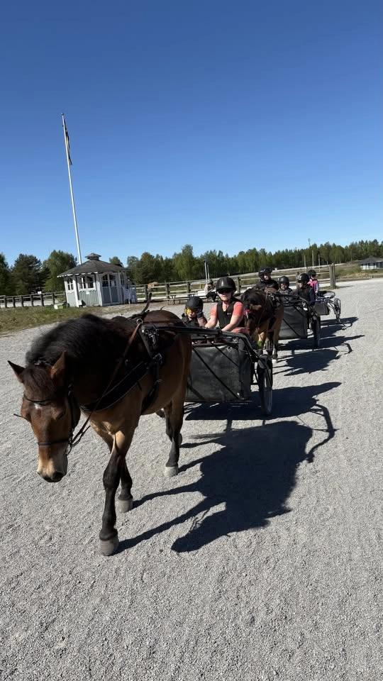 Öppet hus på Travskolan