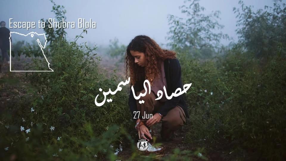 Escape to Shubra Blola حصاد الياسمين