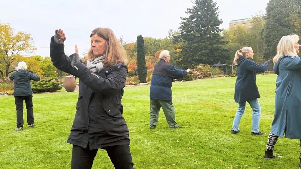 Taj Ji för nybörjare