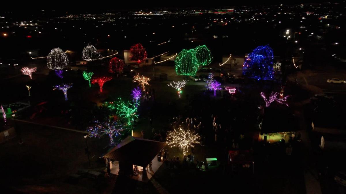 Christmas in the Grove -
