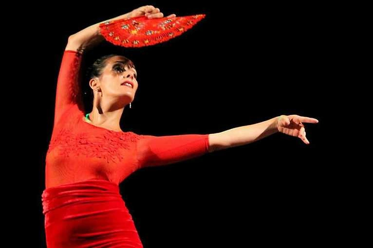Flamenco Soul: A Journey into the Heartbeat of Flamenco