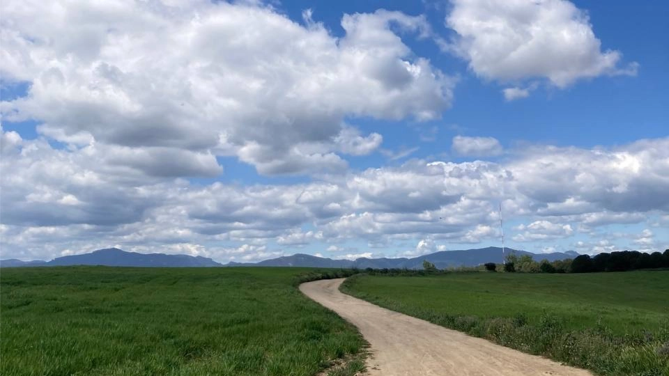 🌼Paseo primaveral por el Gallecs 🌾 + picnic 🧺