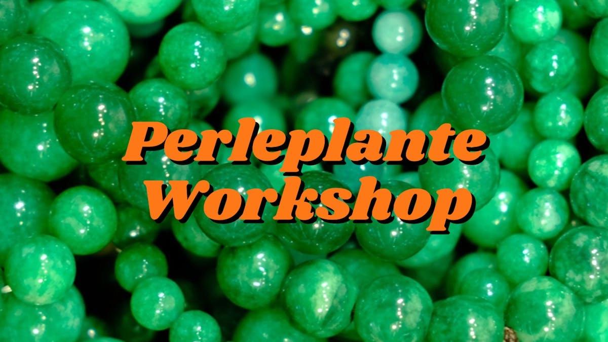 Perleplante Workshop
