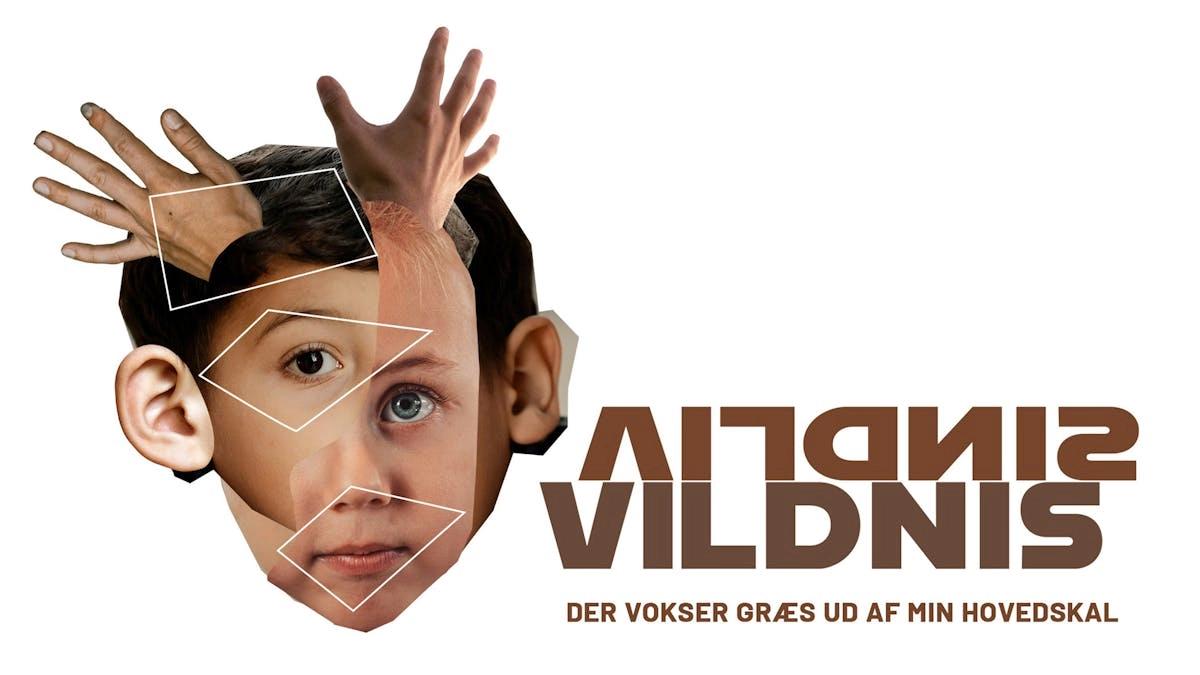 VILDNIS