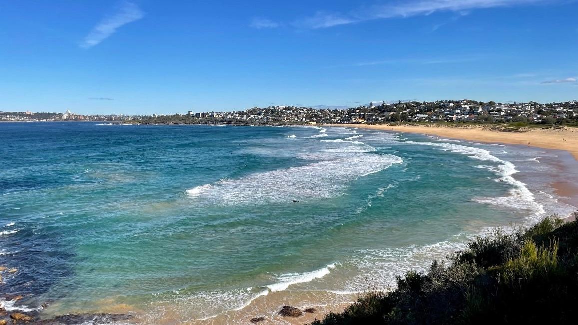 🐳 Manly to Collaroy Coastal Walk via Manly Wormhole & Lookouts 🏖 🏄♀️ 🐋