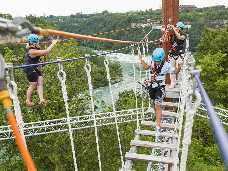 Wild Play Adventure!