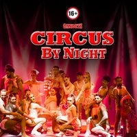 Gandeys Circus By Night Aintree