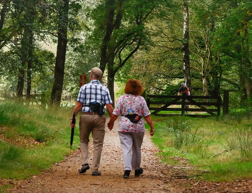 Bos- en Peelwandeling
