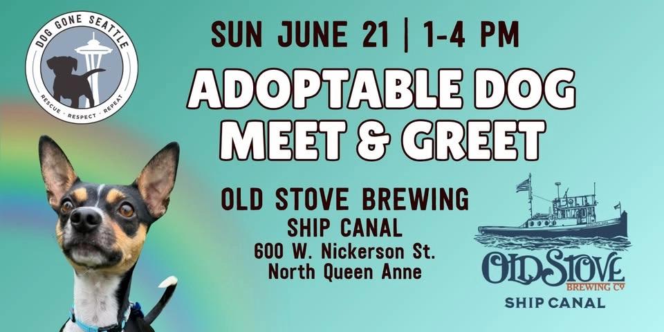 Adoptable Dog Meet & Greet At Old Stove Brewing