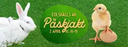 Påskjakt på Eolshälls 4H i Hägersten