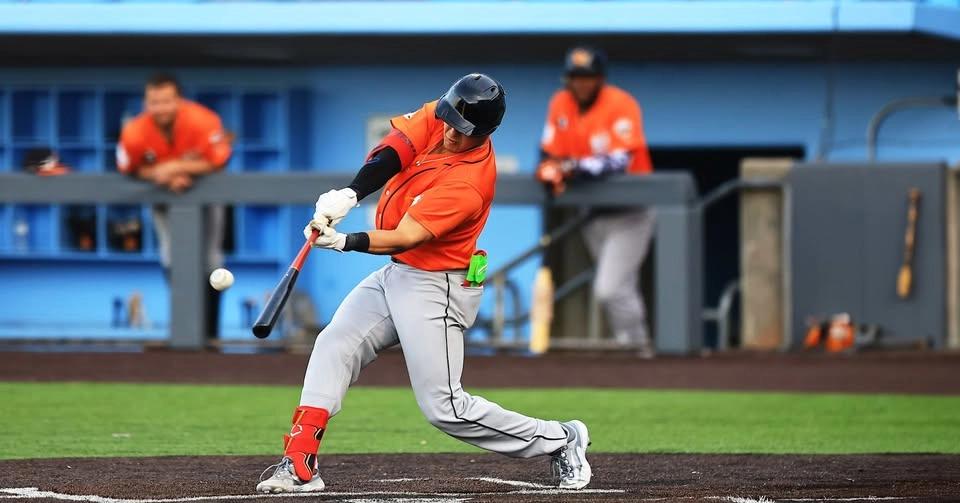 Long Island Ducks at Staten Island FerryHawks