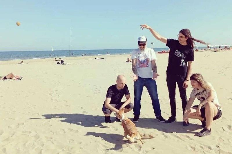 My Pitbull Lucifer + Sen Triplet + Schrödingerova kočka