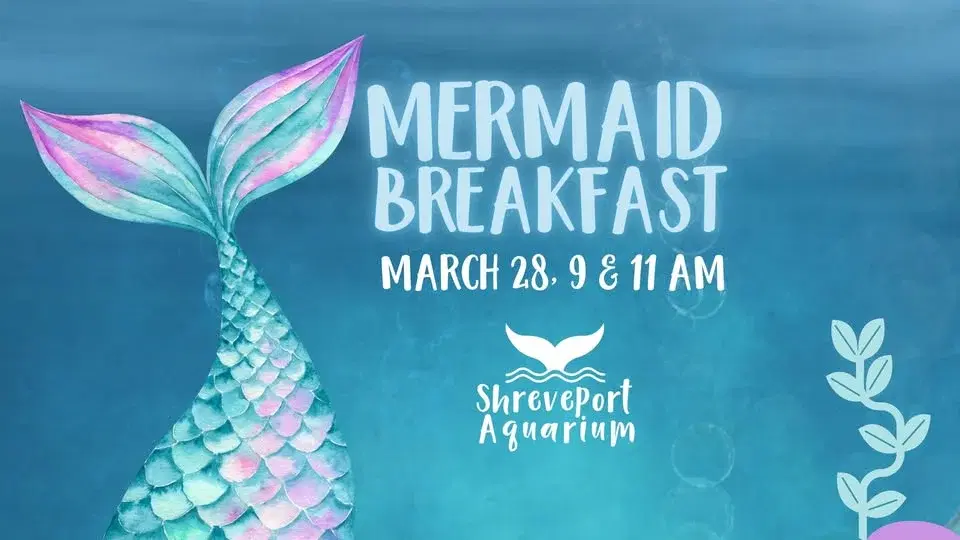 Mermaid Breakfast